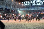 Cavalry - 00269